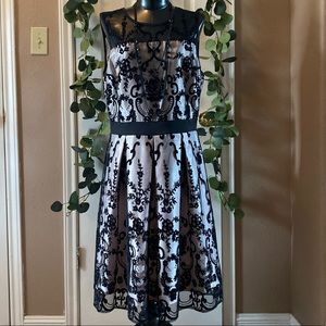 Sheer Laced Dress (A-line Dress)